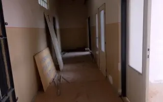 Nufky | Pomôžte nám zrekonštruovať priestory a vytvoriť pekáreň psích pamlskov