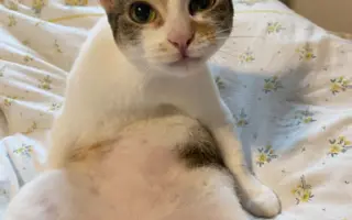 Pomôžte mi uhradiť náklady za posledný boj mojej Karmy