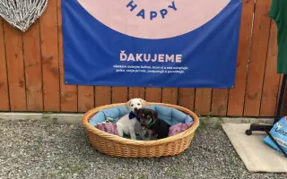 Pomôžte nám udržať  Farmu Happy - bezpečné miesto pre zvieratá