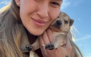 Kúpme a postavme domček pre šteniatka a choré psíky