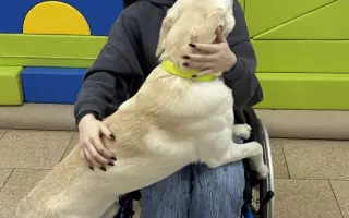 Darujme Saške s neliečiteľným genetickým ochorením asistenčného psa