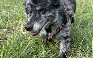 Pomôžme Filipkovi v boji s nádorom Pomôžme Filipkovi v boji s nádorom