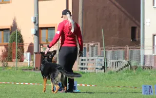 Dve Slovenky, dva psy, jeden svetový sen