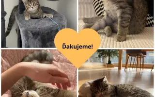 Pomôžme Murkovi vďaka operácii získať šancu na život bez hendikepu