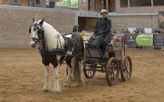 Pomôž nám vybudovať centrum pre kone