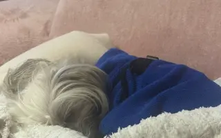 Pomôžme Rúfuskovi zabezpečiť potrebnú operáciu