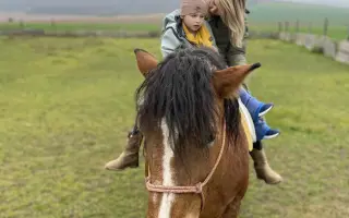 Dôstojný domov pre tichých terapeutov - liečia a menia sny