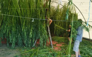 Pomôžme mladým farmárom Mirke a Peťovi po požiari obnoviť hospodárstvo