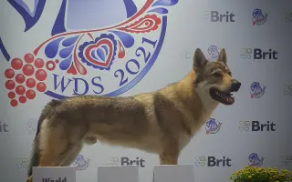 Podporte Bodrika na jeho ceste