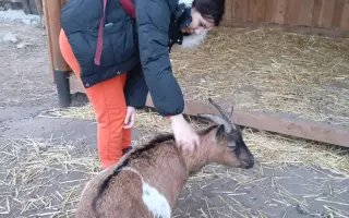 Laura uspela na 3. mieste na prijímačkách. Pomôžte, aby mohla študovať.