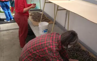 Čarovná záhrada  – podporte pracovnú činnosť  ľudí so zdravotným znevýhodnením