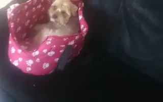 Pomôžme Charliemu získať späť kúsok života Pomôžme Charliemu získať späť kúsok života