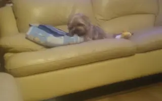 Pomôžme Charliemu získať späť kúsok života Pomôžme Charliemu získať späť kúsok života