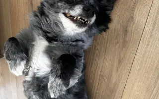 Pomôžme Filipkovi v boji s nádorom Pomôžme Filipkovi v boji s nádorom