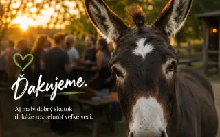 Pomohli ste somárikovi Aladárovi získať štiepkovač pre Vidiecky sen
