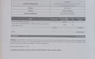 Postavme Terezku po dopravnej nehode opäť na nohy