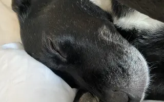 Darujme Benjimu nový život bez bolesti