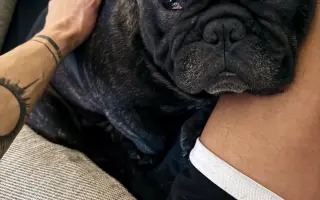 Pomôžme Hugovi postaviť sa na nohy po operácii