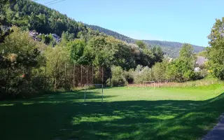 Zelené Žakarovce: Podporte nákup a výsadbu 50 stromov.