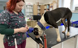 Pomôžte nám - k odkúpeniu raja pre OZ Záchranná stanica ANIMAL chýba ešte kúsok!