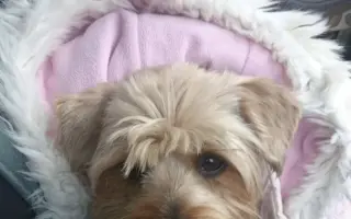 Pomôžme Charliemu získať späť kúsok života Pomôžme Charliemu získať späť kúsok života