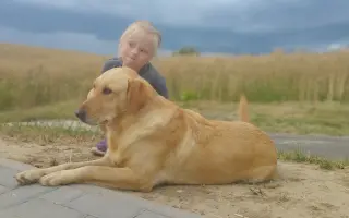 Cesta k prvým slovám a škôlke: Ellka potrebuje špeciálne terapie