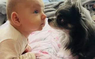 Pomôžme Julke, malému dievčatku s chuťou zabojovať o plnohodnotný život