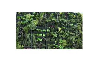Šalátový sen | podporte ekologickú hydroponickú farmu bez pôdy