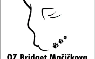 Podporte rozšírenie depozitu pre mačičky z ulice