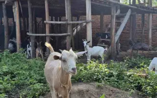 Pomohli ste ženám v Ugande k lepšej budúcnosti
