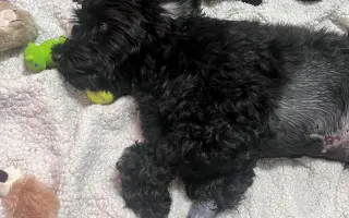 Pomôžte Kyrkovi pokračovať v liečbe vzácneho nádoru nadobličky