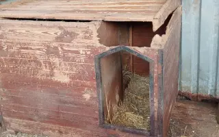 Pomôžte nám vyrobiť búdy pre psíkov v útulkoch