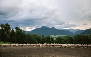 DOMA | Vydaj sa na potulky krajinou, ktorú nevidíme