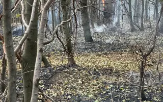 Pomôžme DHZ Devín získať termokamery na vyhľadávanie skrytých ohnísk