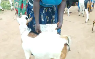 Spolu ušijeme lepšiu budúcnosť pre ženy v Ugande