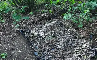 Spletinia – maskovacie siete pre tých, ktorí bránia svoju vlasť
