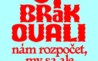 SOS | Štát zobral BRaKu 75 000 € dva mesiace pred festivalom. Zachráňme ho.