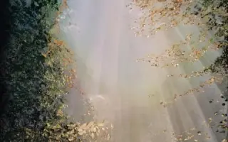 Pomôžme Zuzke získať šancu na život