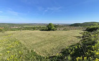 Festival Zrkadlenie: Kultúra a zraniteľnosť mizne... oživme ju spolu v prírode!