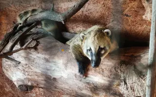 Pomôžte Detskej farme Humanita (DFH) postaviť sa na nohy