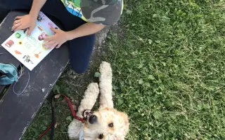 Pomôžme Bobovi opäť pomáhať