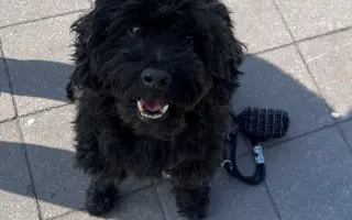 Pomôžte Kyrkovi pokračovať v liečbe vzácneho nádoru nadobličky