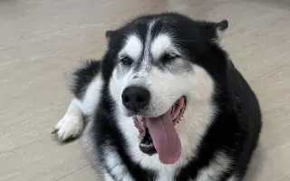 Pomôžme Tine s operáciou nádoru