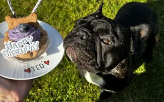 Pomôžme Teovi získať šancu na život bez bolesti