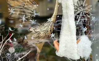 Spoznaj CIBULKA DESIGN a buď pri sne za kamenným obchodom