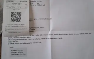 Pomohli ste Belke na ceste k liečbe a novému domovu