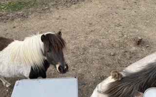 Pomôžte nám vybudováť farmu pre verejnosť