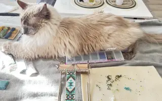 Podporte zrod Anima Ritual Atelieru a Encyklopédie duše
