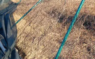 🧱 Pomôžte nám postaviť nový plot = viac bezpečia a slobody 🐾🐾