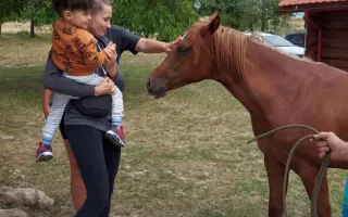 Pomôžte nám doplatiť interaktívnu podlahu FlySky pre deti s autizmom